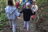 Djeca hodaju kroz šumu na hodočašću